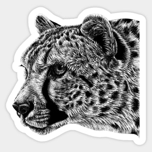 Cheetah portrait Sticker